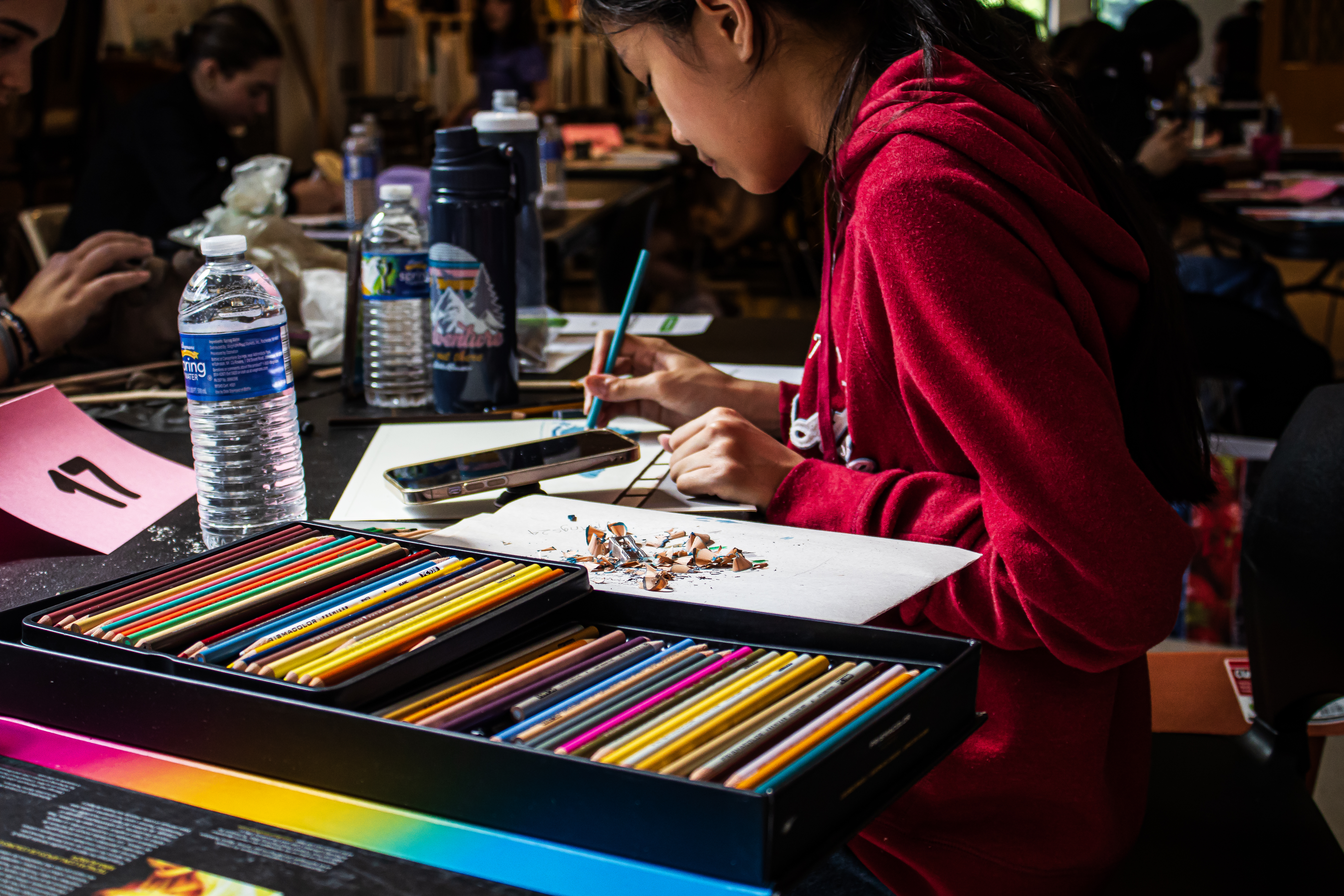 Student Artist