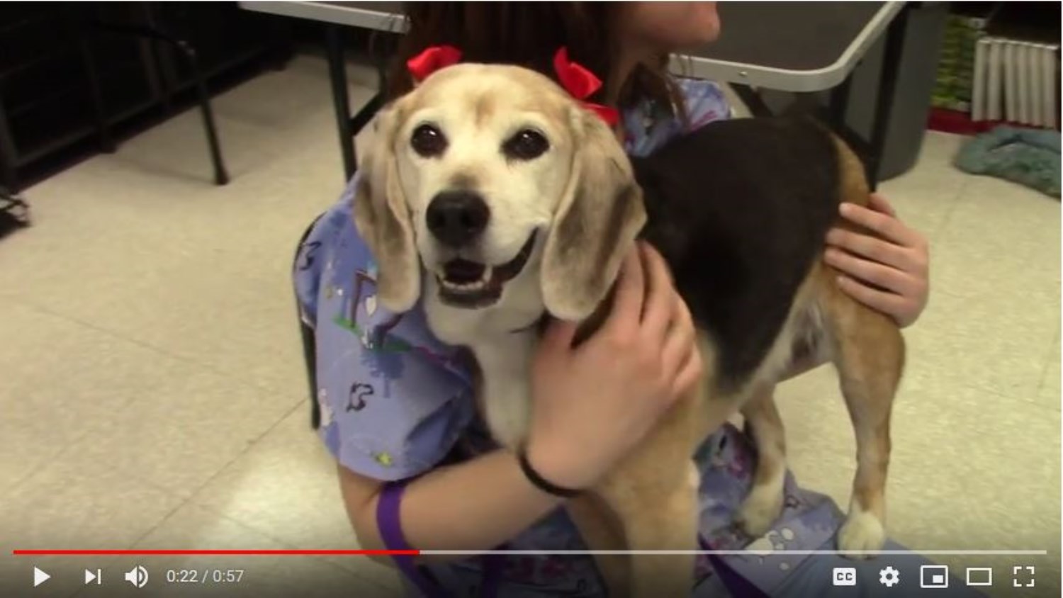 Animal Science Video
