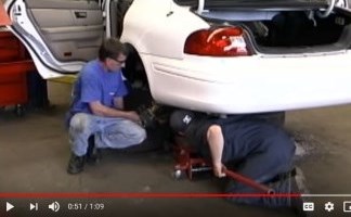 Animal Science Video