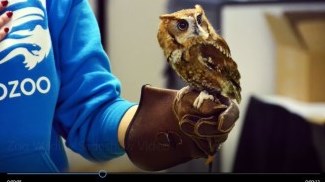 Zoo Wildlife and Conservation Careers (New Visions) Video